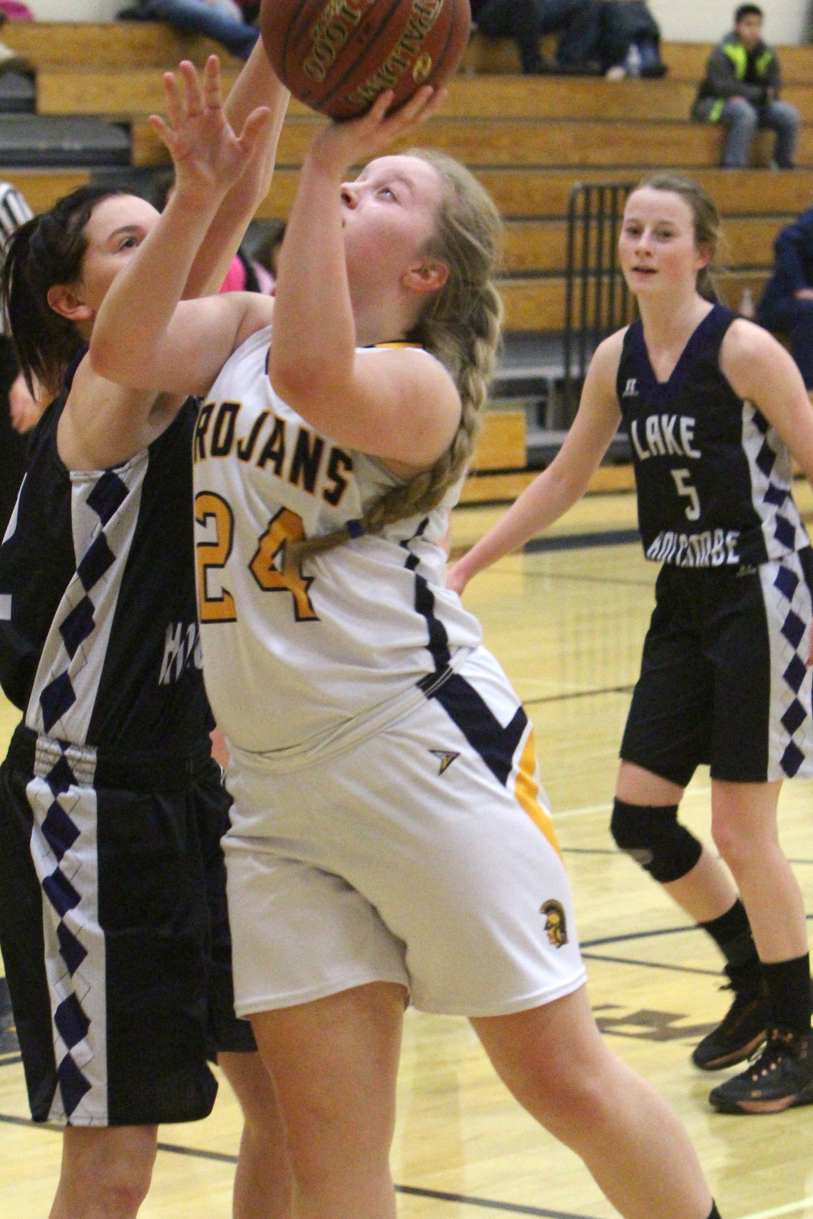 Lake Holcombe at New Auburn girls basketball 2-14-19